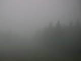 11 : 38