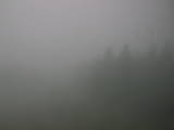 11 : 40