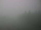11 : 44