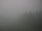 11 : 48