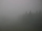 11 : 52