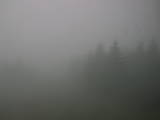 11 : 56