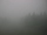 12 : 02