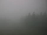 12 : 06