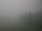 12 : 12