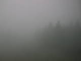 12 : 14