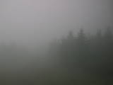 12 : 26