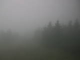 12 : 28