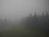12 : 56