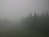 13 : 00