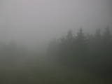 13 : 08
