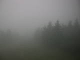 13 : 12