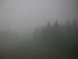 13 : 14
