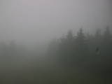 13 : 16