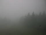 13 : 18