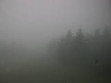 13 : 24