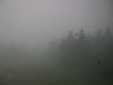 13 : 26