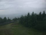 20 : 40