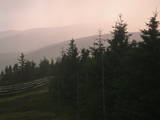 19 : 36