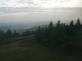 20 : 16