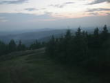 20 : 48