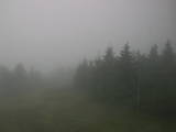 16 : 20