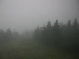 17 : 20