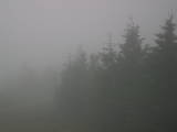 18 : 16