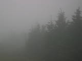 18 : 56