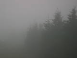19 : 08
