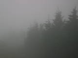 19 : 20
