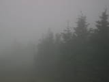 19 : 32