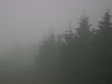 19 : 36