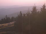 19 : 22