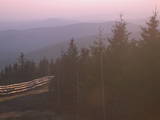 19 : 26