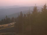 19 : 28