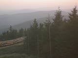 19 : 36