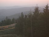 19 : 38