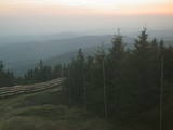 19 : 42