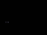 20 : 28