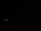 22 : 28