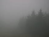 08 : 20