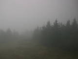 09 : 50
