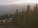 19 : 24