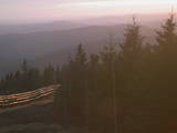 19 : 36