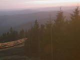 19 : 38