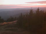 19 : 42