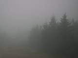 07 : 12