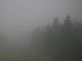 08 : 20