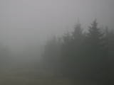 08 : 30